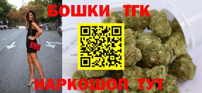 spice Кингисепп