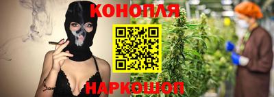 spice Кингисепп