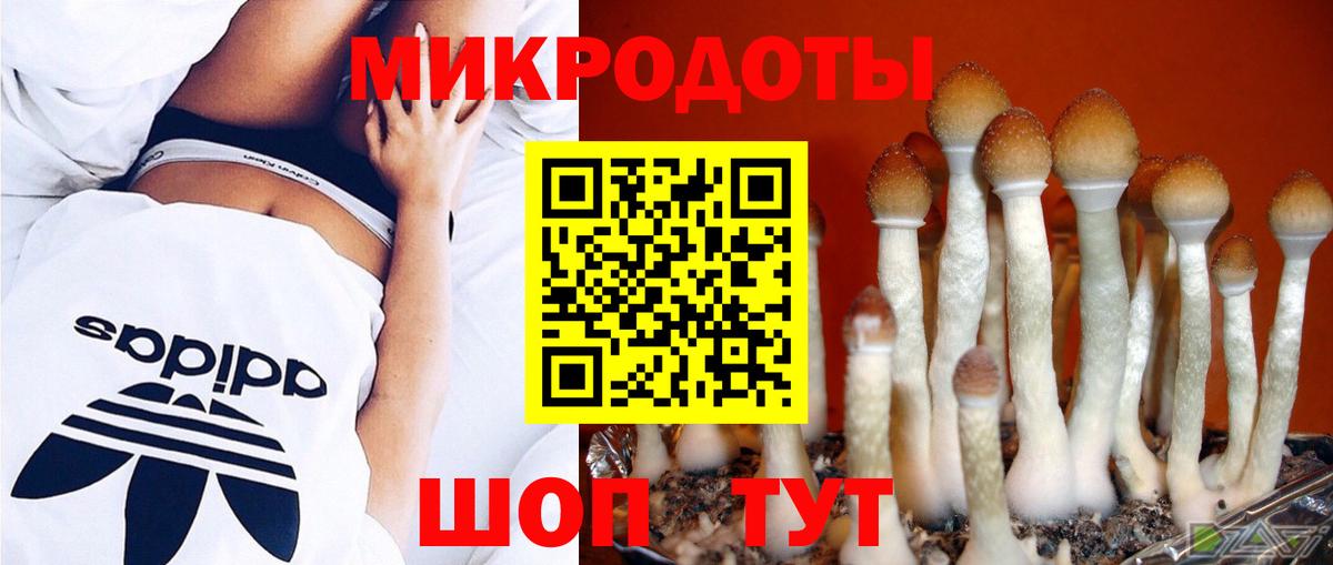 купить закладку  Вход с VPN  Галлюциногенные грибы мицелий  Ишимбай  Галлюциногенные грибы Cubensis 