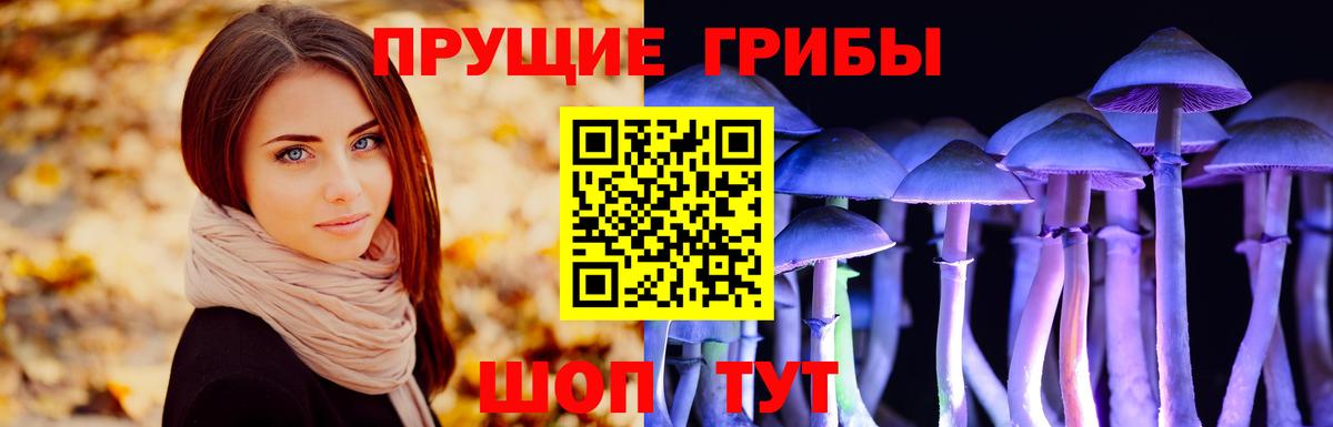 Псилоцибиновые грибы Magic Shrooms Ишимбай